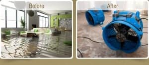 before and after basement extraction