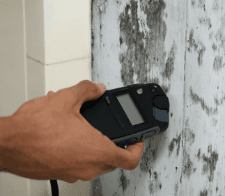 1 Long Island Mold Inspection